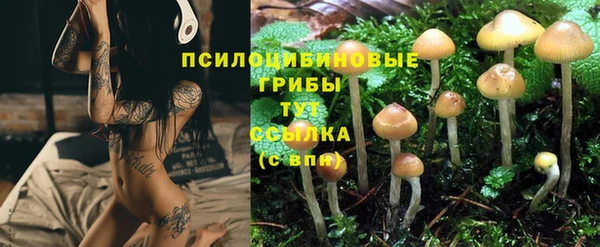 кокаин перу Белокуриха